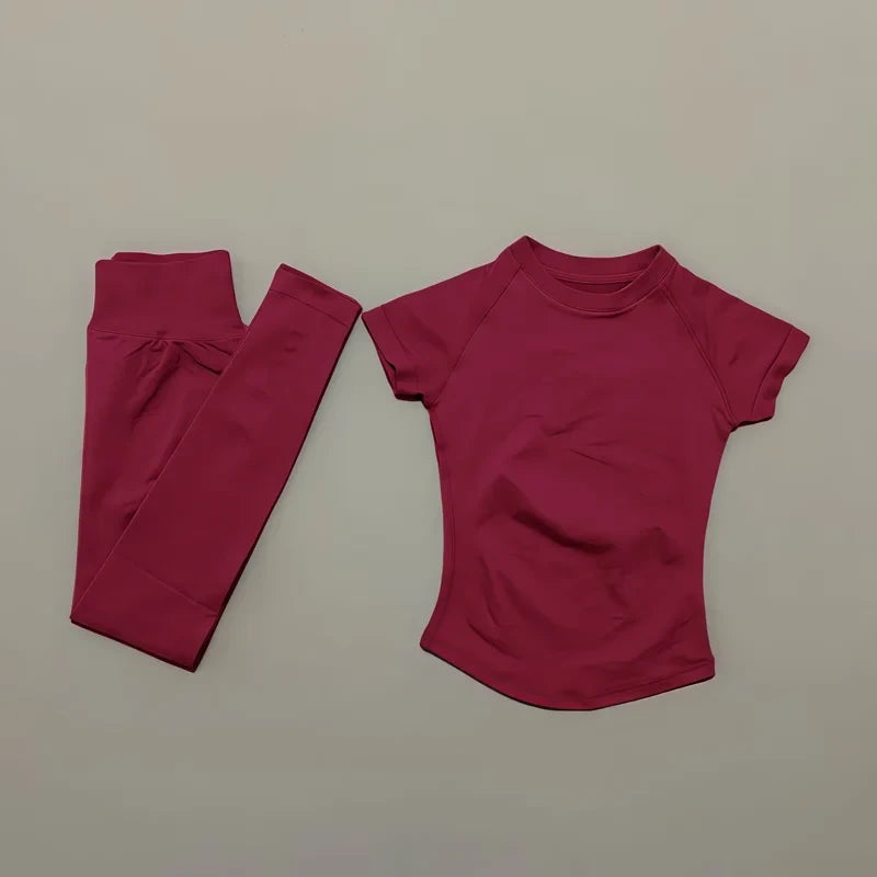 Seamless Quick-Dry Yoga Set